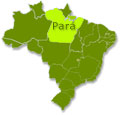 Pará Brasil