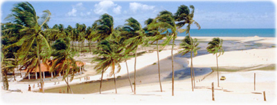 Praia Rio Grande Norte