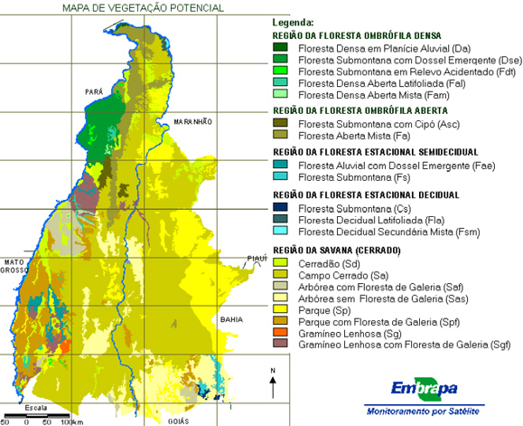 Mapa vegetação